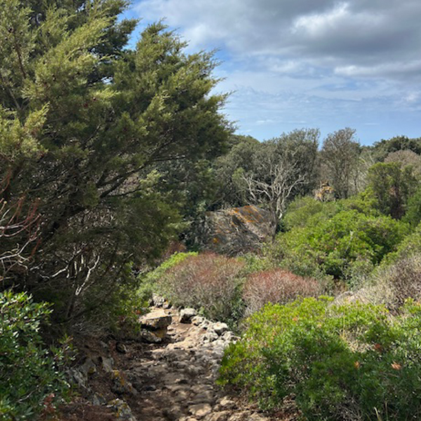 Collioure retreat 14