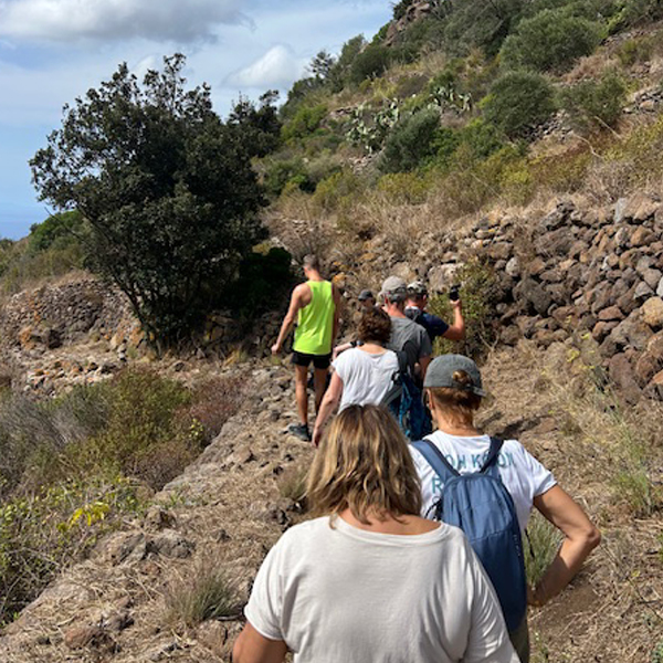 Collioure retreat 16