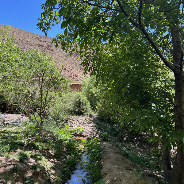 Valley of Roses retreat 6