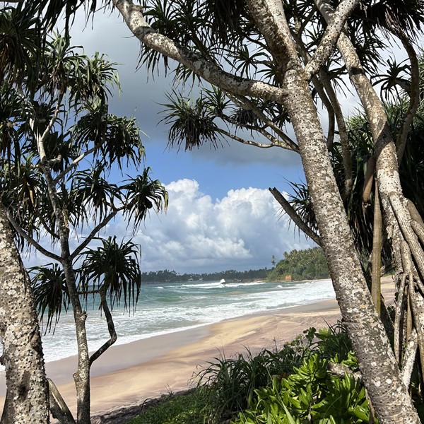 Southern Sri Lanka retreat 12