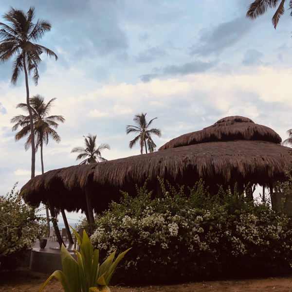 North and East Sri Lanka retreat 6