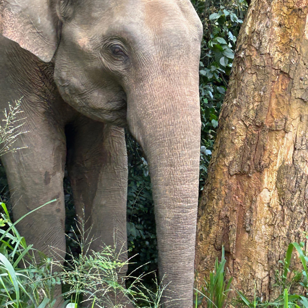 North and East Sri Lanka retreat 2