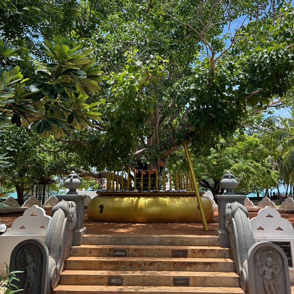 North and East Sri Lanka retreat 5