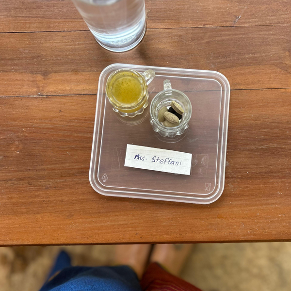 Southern Sri Lanka retreat 17