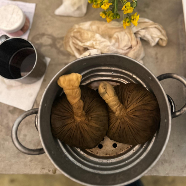 Southern Sri Lanka retreat 18