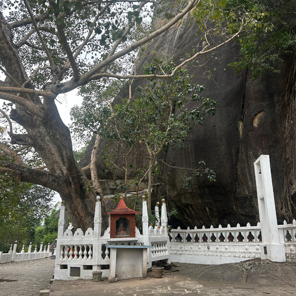 Southern Sri Lanka retreat 19