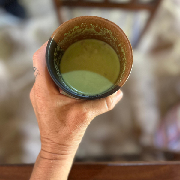 Southern Sri Lanka retreat 2